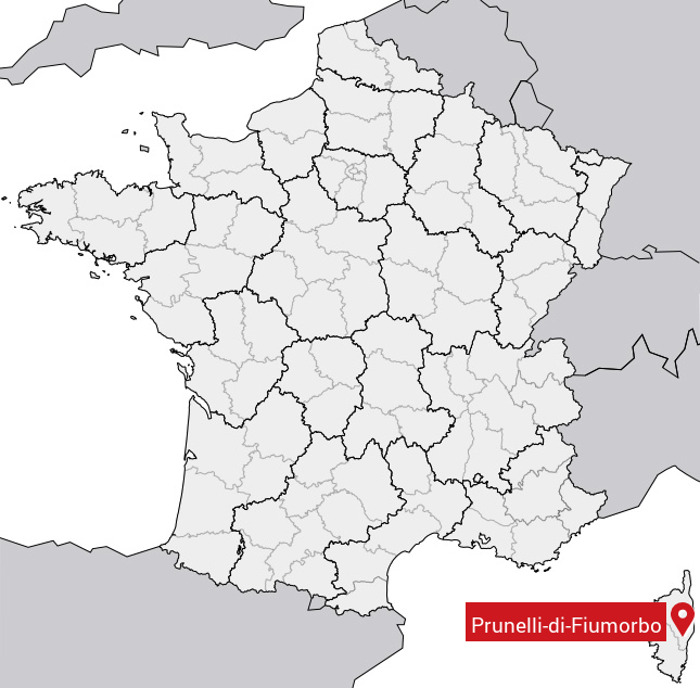 Localisation de Prunelli-di-Fiumorbo sur la carte de France